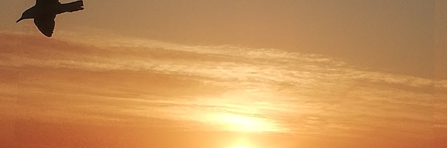 Fer H banner