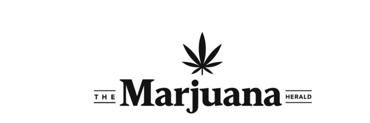 Anthony Martinelli's banner