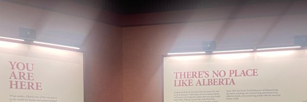 Big_TeddyBoss Profile Banner