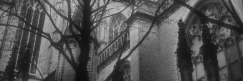 sen banner