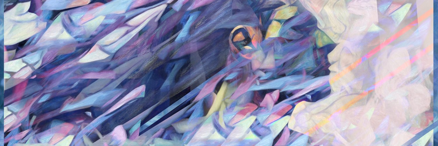 bwitlin's profile banner image
