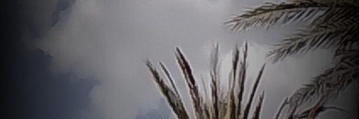 Rd2_Oee's profile banner image