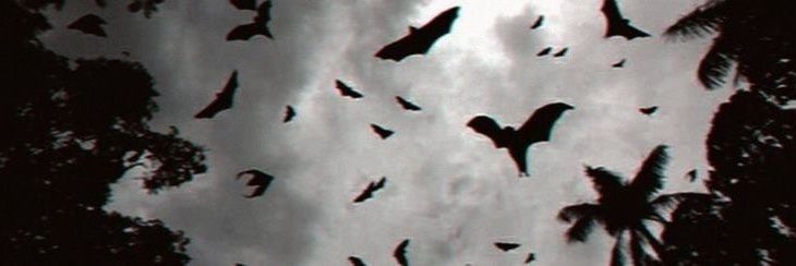 border banner