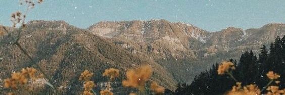 kymberleeleon's profile banner image