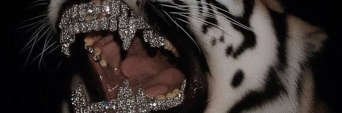 PrankStorage's profile banner image