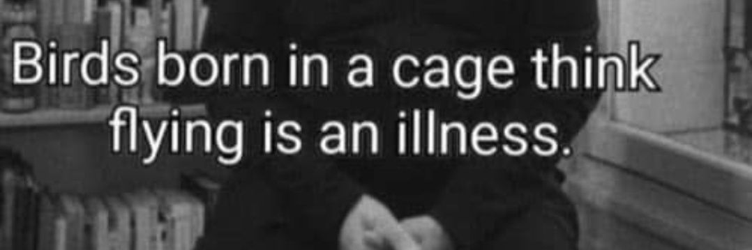 Simon EG 💎 banner