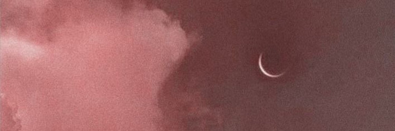 Dannhego's profile banner image