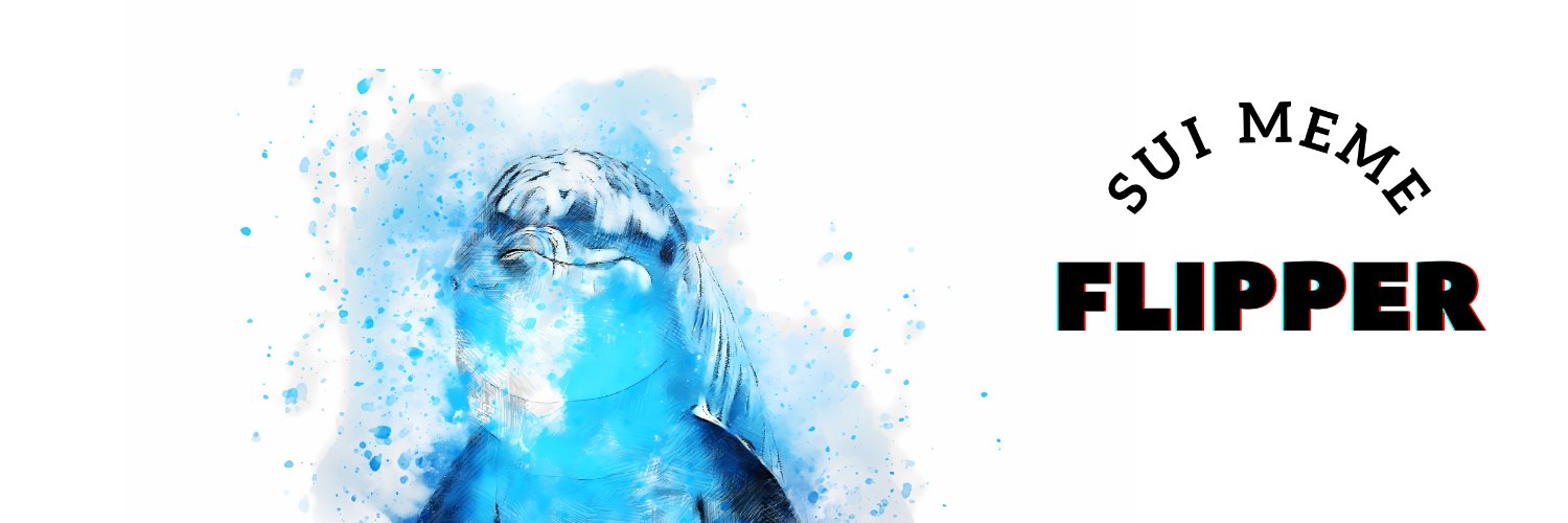 flipper_sui's profile banner image
