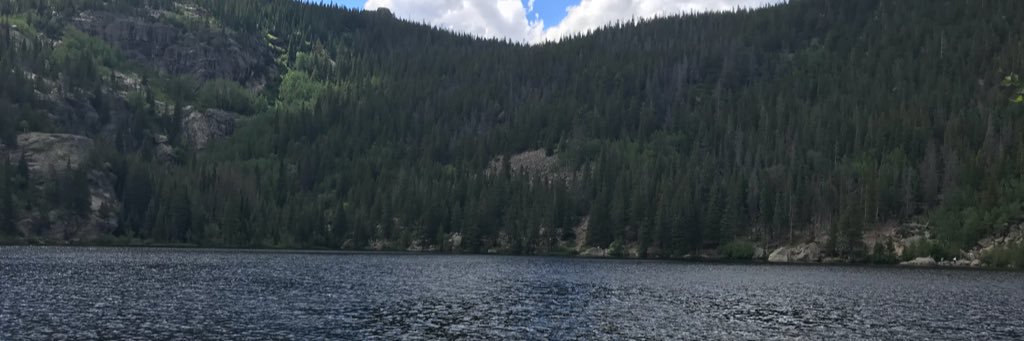 MadisonOrtman's profile banner image