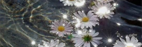 dcvd829's profile banner image
