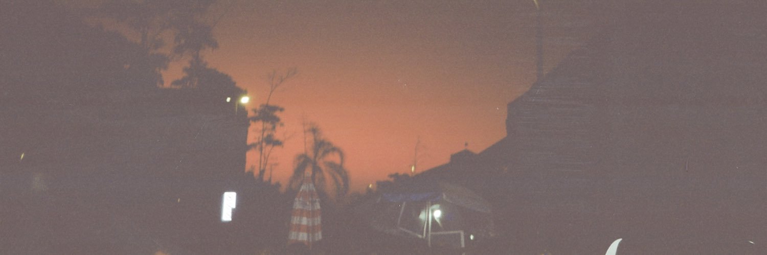 caroljunger's profile banner image