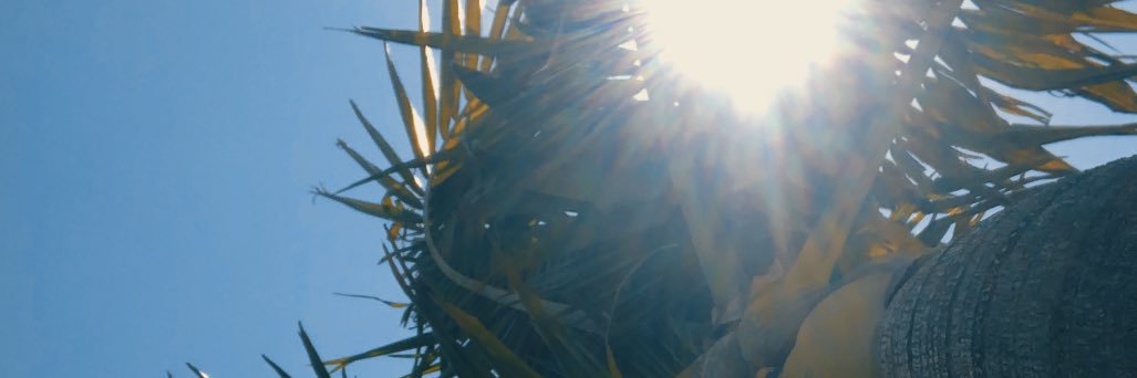 thisisgaba's profile banner image