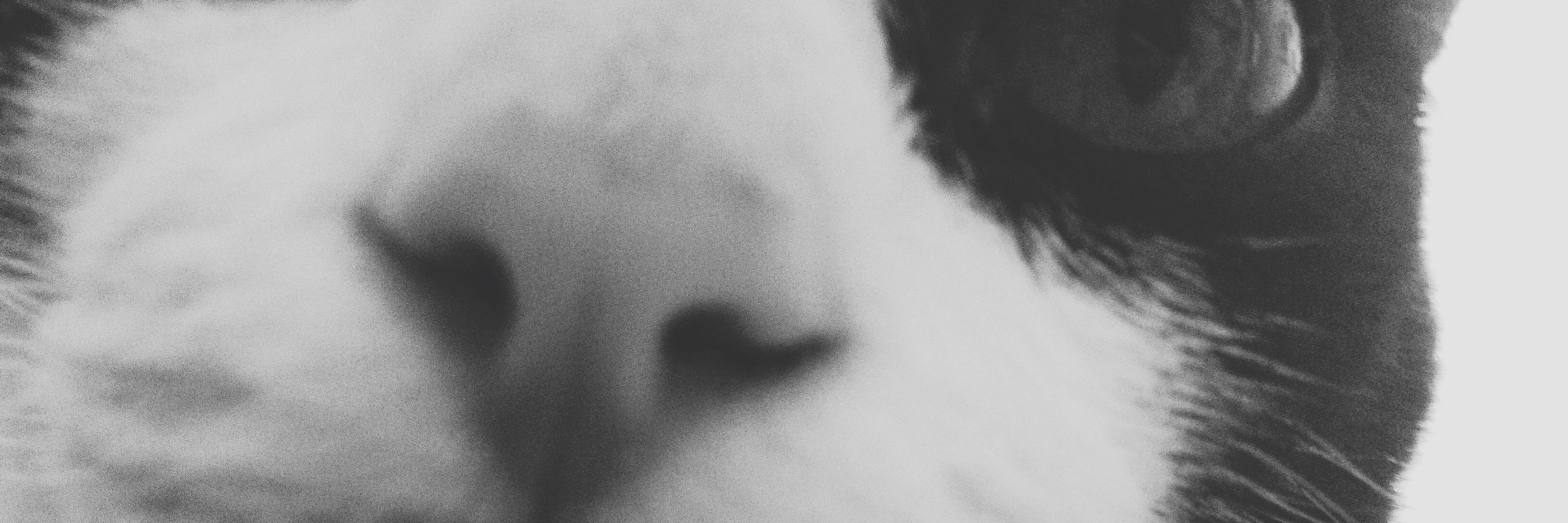 emmaespejo's profile banner image