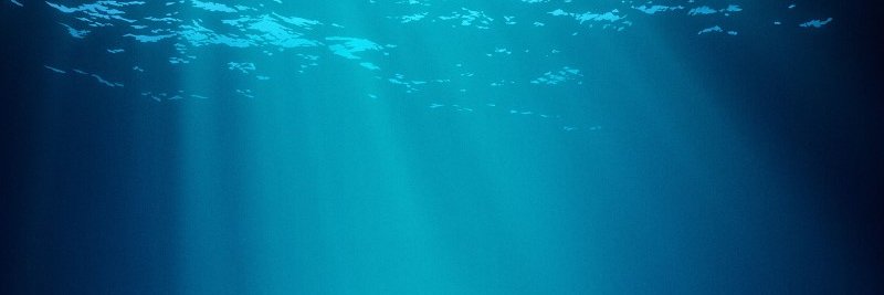 LifeAndAWhale's profile banner image
