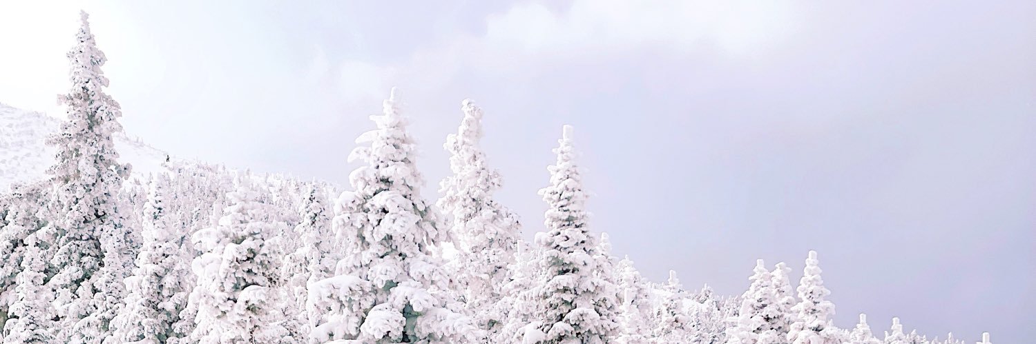 MicheleRB's profile banner image
