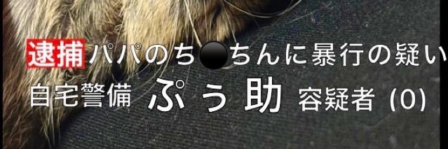 pusuke___0625's profile banner image