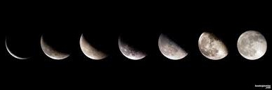 moshiri_samane's profile banner image