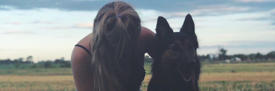 simona banner