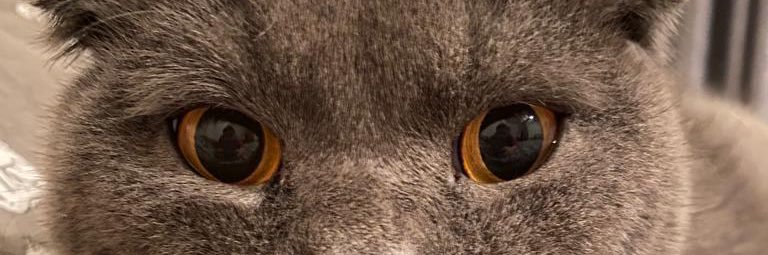 erim_17's profile banner image