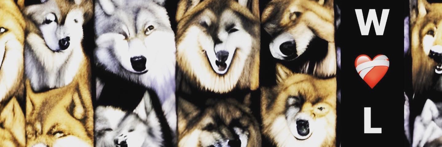 Bigshake973's profile banner image