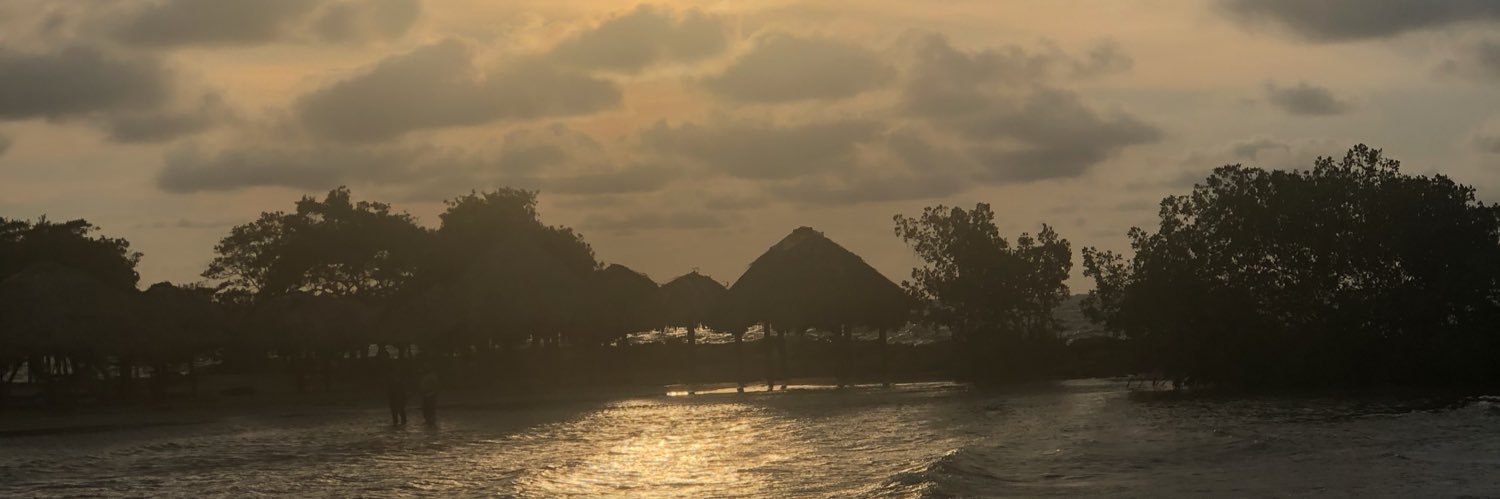 CarolinaCruzGil's profile banner image