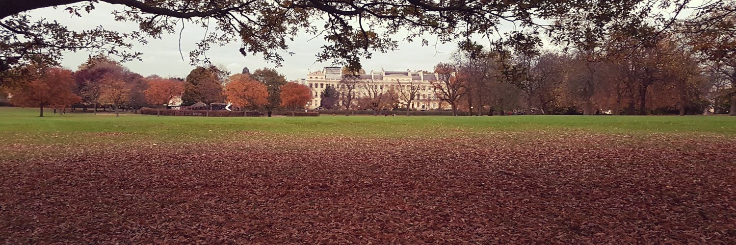 tomycsl's profile banner image