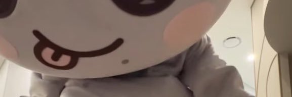 bambiichi banner