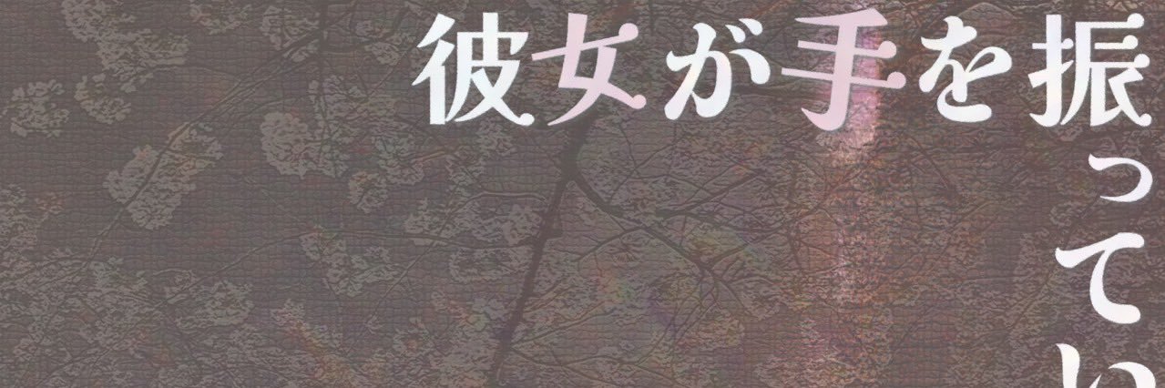 _surizarin's profile banner image