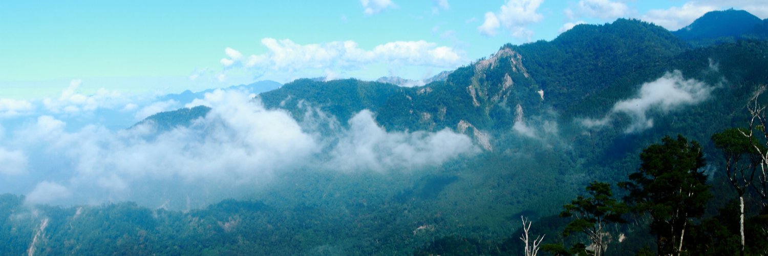 greatapes's profile banner image