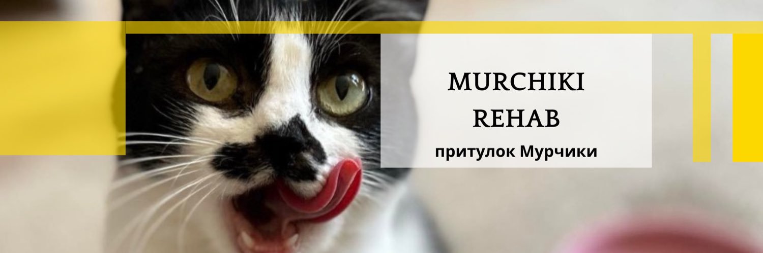 Притулок Мурчики Київ's banner
