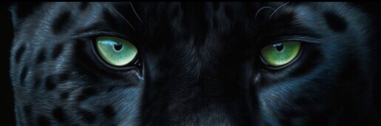 LA NIGGIE🕷️ banner