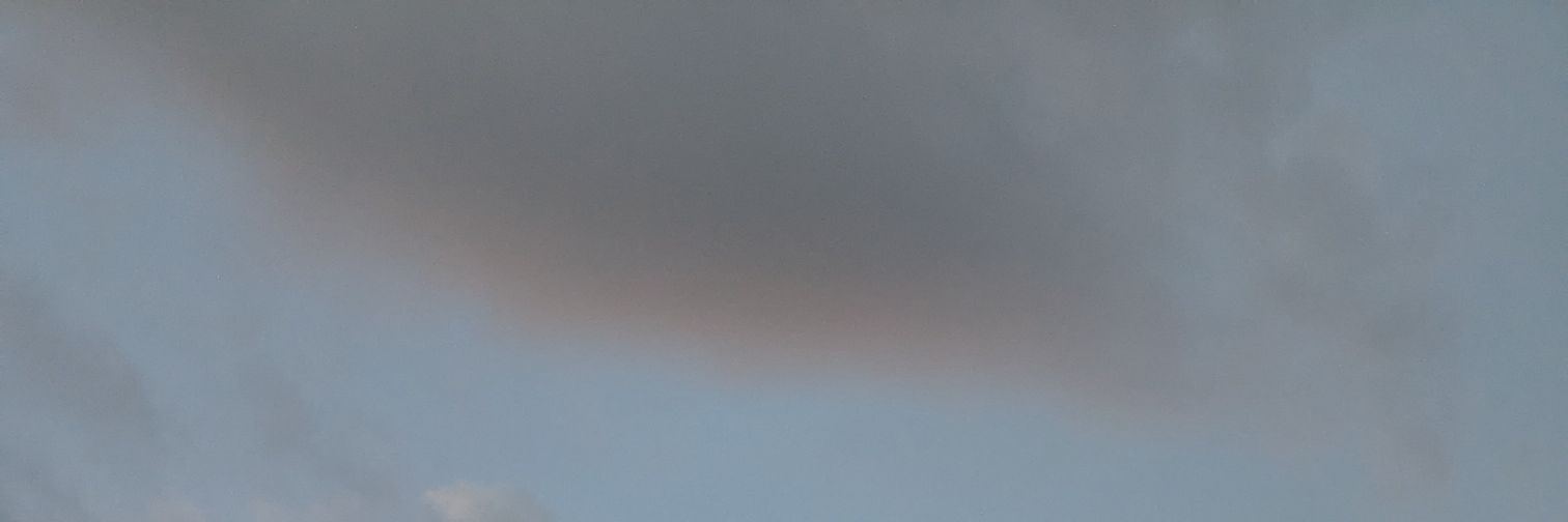 Catttt banner