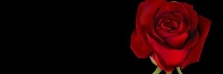 laplayadeDan 🦊🐯🦁 banner