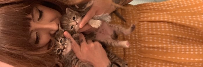 Danithecatladyy's profile banner image