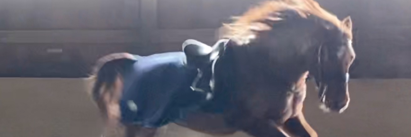 Pamela Crossley banner