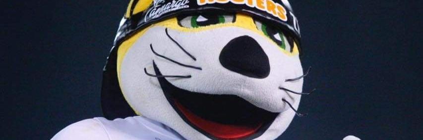 Chacho 1 3/8  🐯 ( OFICIAL ) banner