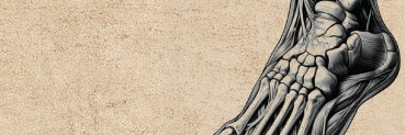 alam_semenit's profile banner image