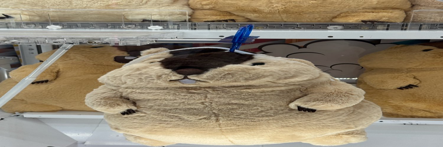 みけ banner