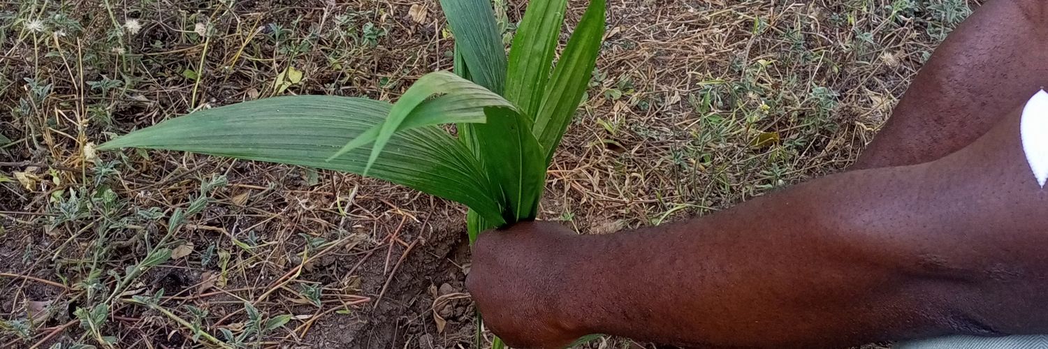 Mr_Ochefu's profile banner image