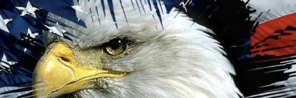 MinnesotaTitan's profile banner image