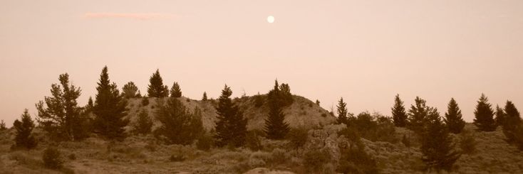 𝘰𝘭𝘥 𝘮𝘢𝘯 . banner