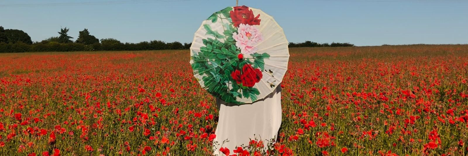 Patricia Brooks-Dickens FCCT banner