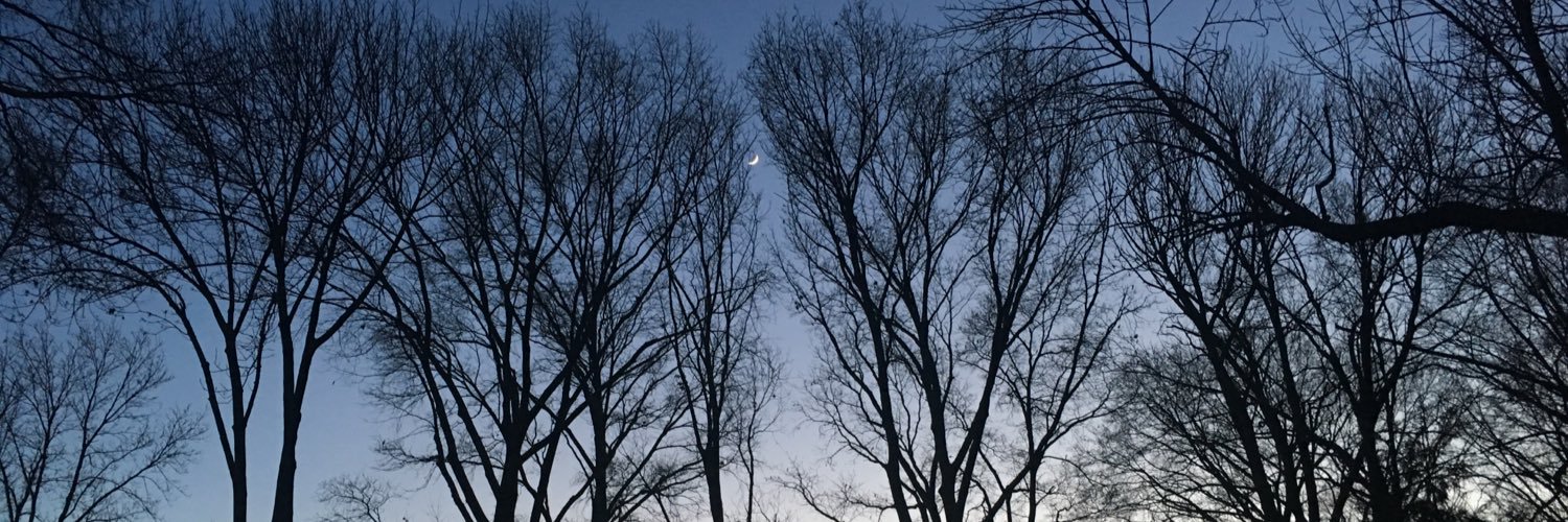 michaelwang____'s profile banner image