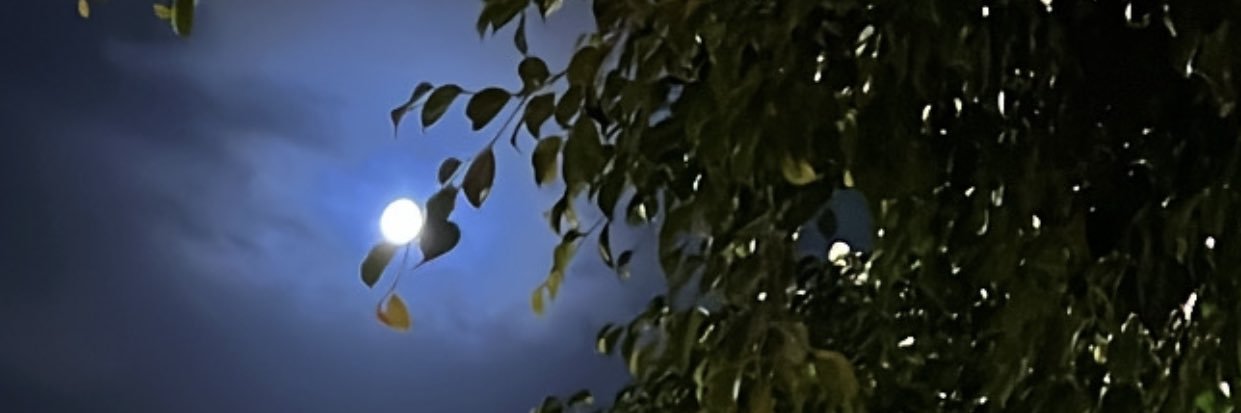 Zozi 💗 banner
