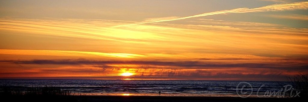 cami_n's profile banner image