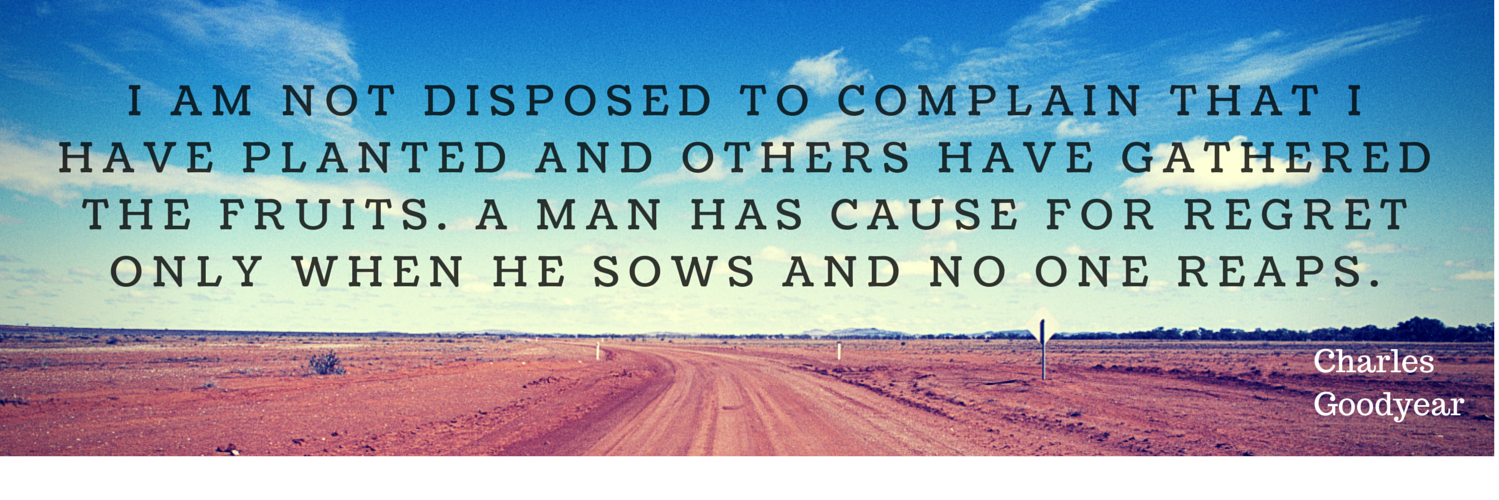 A WILD TWEET APPEARS! banner