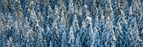 DaveyTree Profile Banner