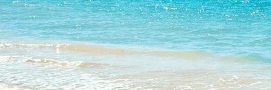 keroppika's profile banner image