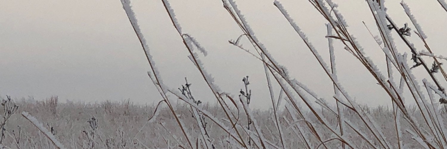 danruiter's profile banner image