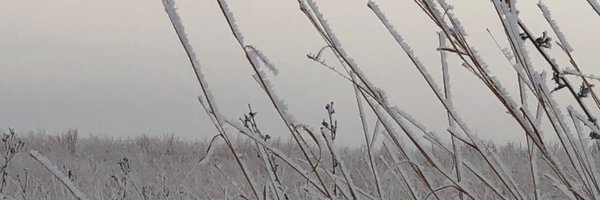 danruiter Profile Banner